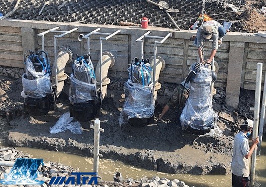 Máy bơm nước thải Tsurumi 250BZ622 thả chìm