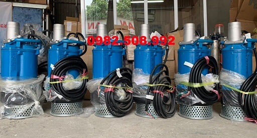 Bơm chìm số 1 thế giới