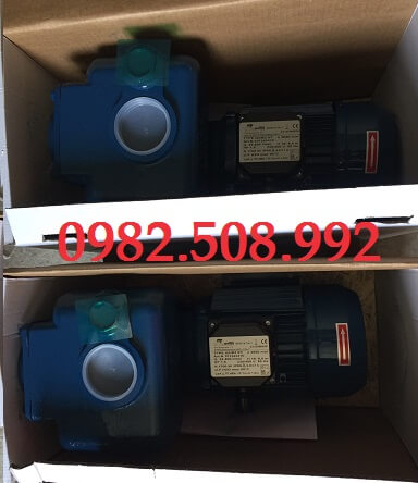 Bơm nước thải đặt cạn Q3/B2T - ảnh 1